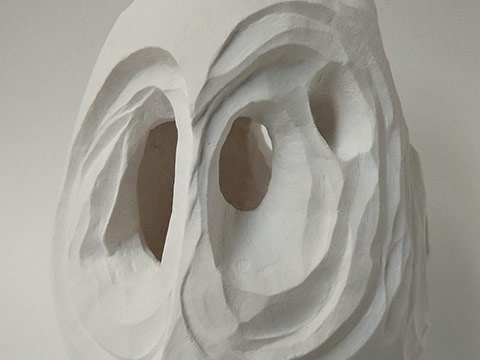 Plaster study